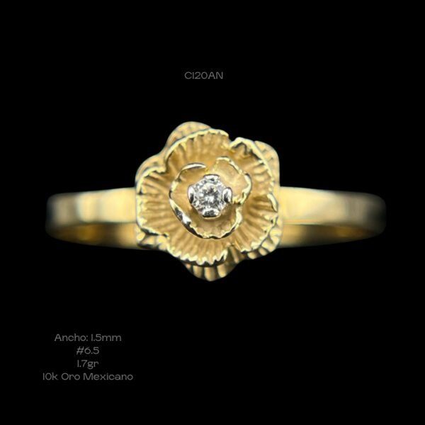 C120AN