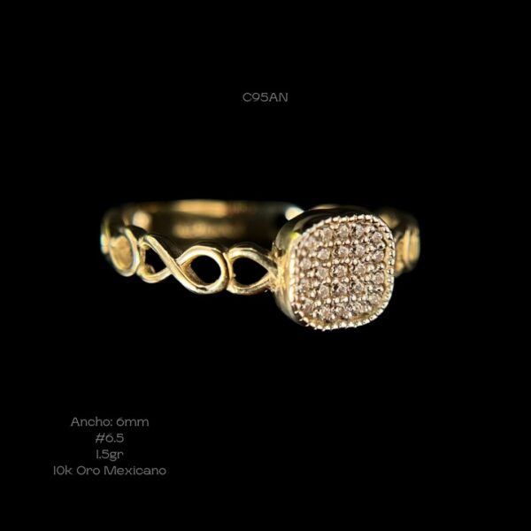 C95AN